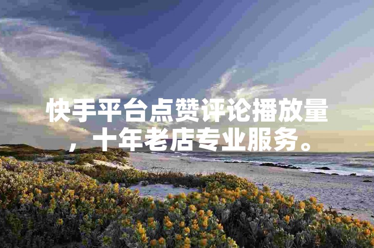 快手平台点赞评论播放量，十年老店专业服务。