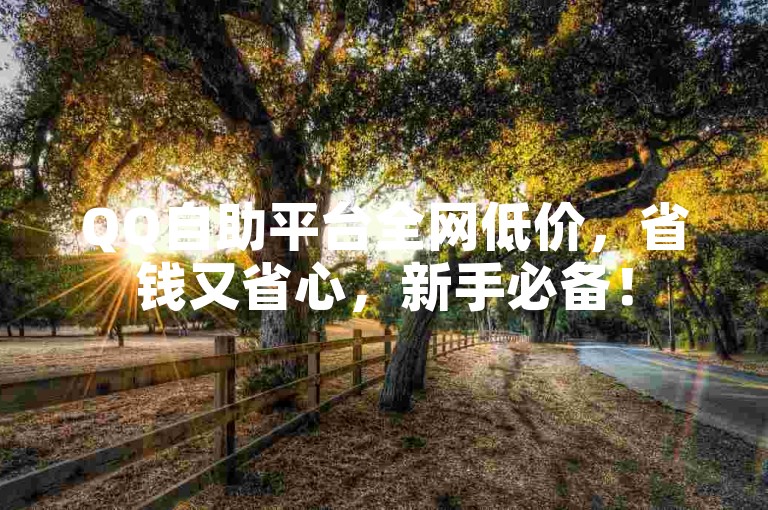 QQ自助平台全网低价，省钱又省心，新手必备！