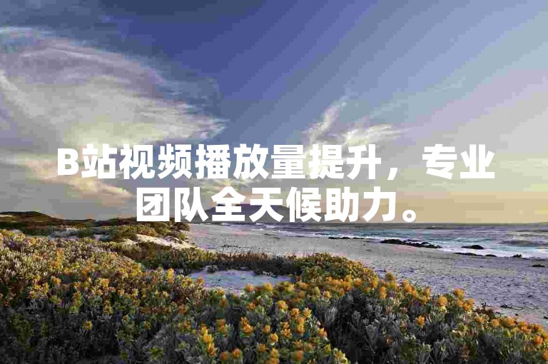 B站视频播放量提升，专业团队全天候助力。