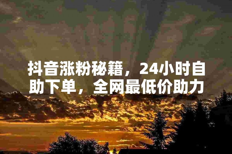 抖音涨粉秘籍，24小时自助下单，全网最低价助力。