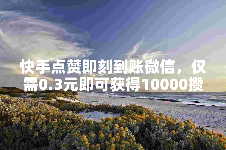 快手点赞即刻到账微信，仅需0.3元即可获得10000攒。