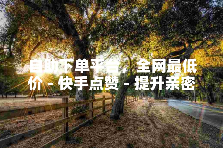 自助下单平台，全网最低价 - 快手点赞 - 提升亲密度