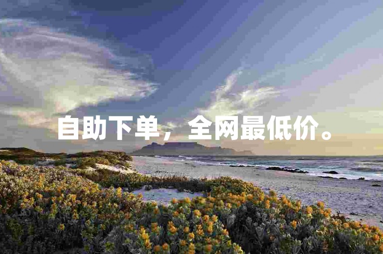 自助下单，全网最低价。