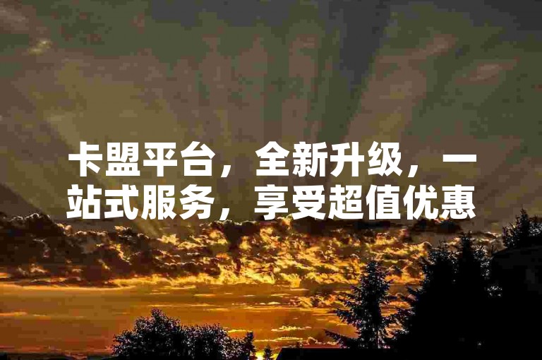 卡盟平台，全新升级，一站式服务，享受超值优惠！