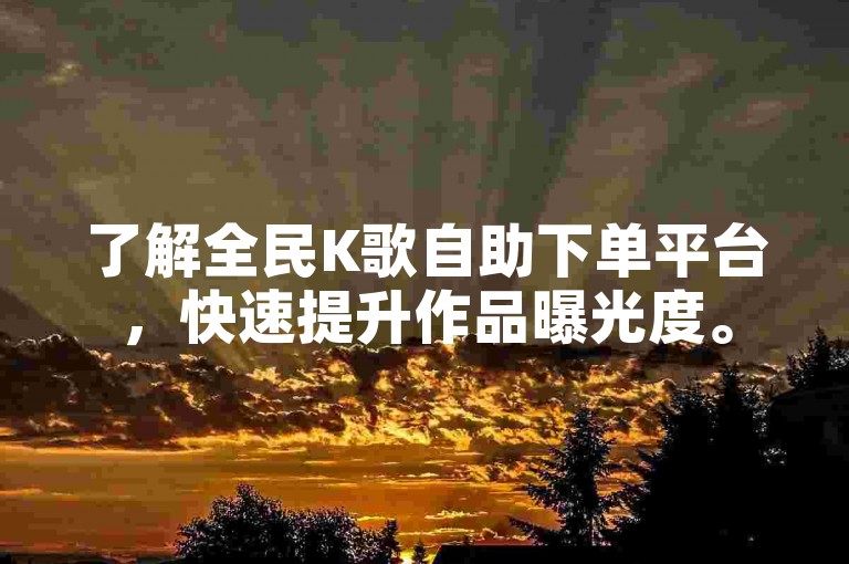 了解全民K歌自助下单平台，快速提升作品曝光度。