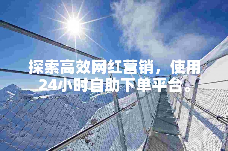 探索高效网红营销，使用24小时自助下单平台。