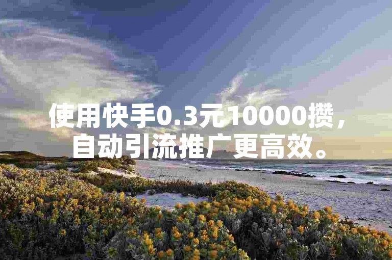 使用快手0.3元10000攒，自动引流推广更高效。
