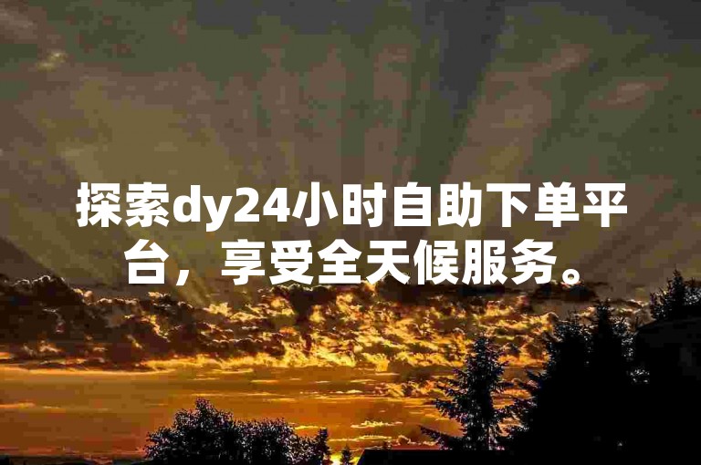 探索dy24小时自助下单平台，享受全天候服务。