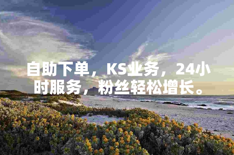 自助下单，KS业务，24小时服务，粉丝轻松增长。