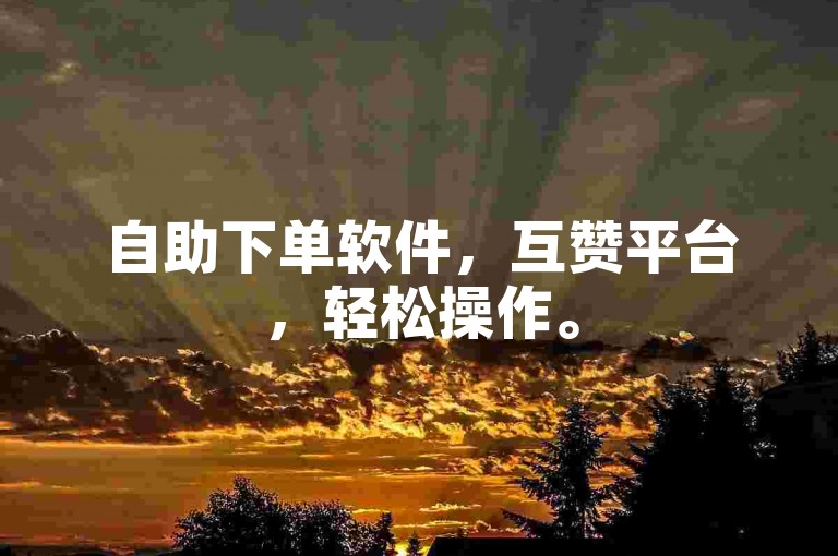 自助下单软件，互赞平台，轻松操作。