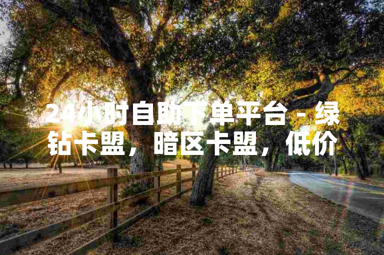 24小时自助下单平台 - 绿钻卡盟，暗区卡盟，低价代刷网。