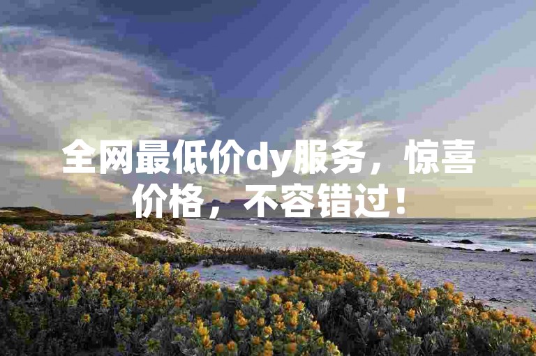 全网最低价dy服务，惊喜价格，不容错过！