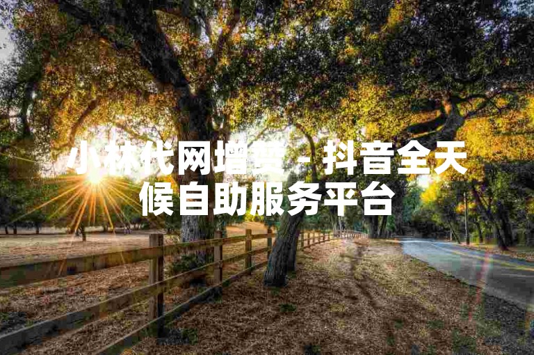 小林代网增赞 - 抖音全天候自助服务平台