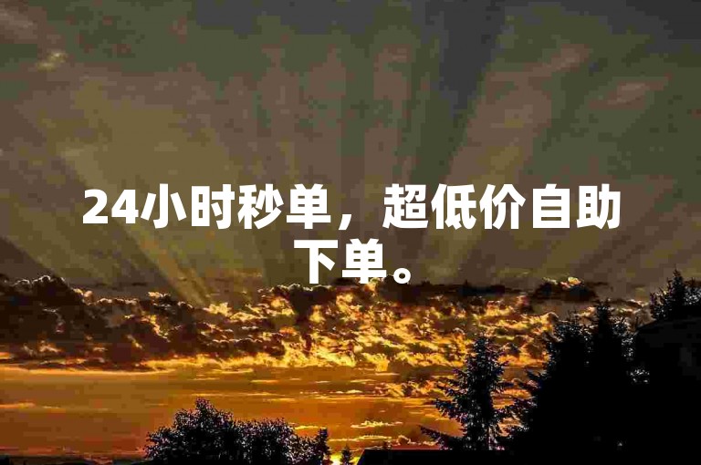 24小时秒单，超低价自助下单。