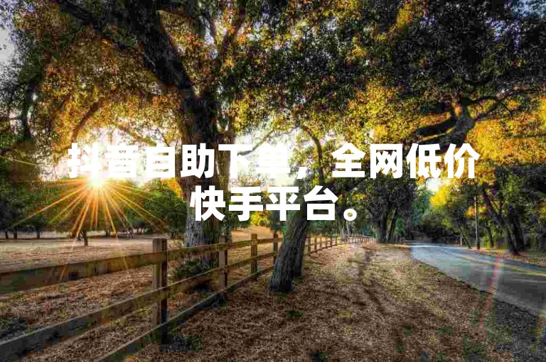 抖音自助下单，全网低价快手平台。