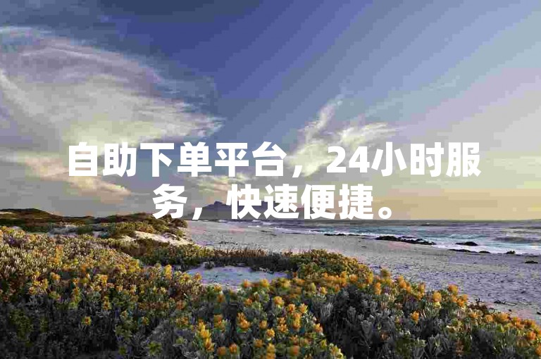 自助下单平台，24小时服务，快速便捷。