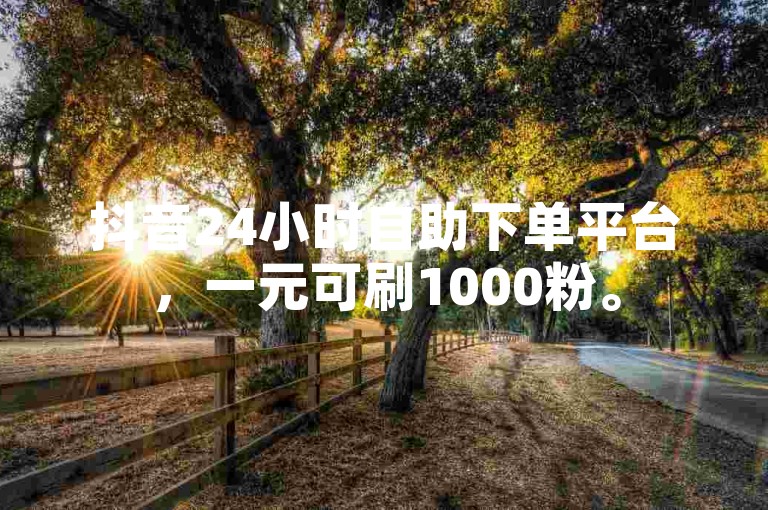 抖音24小时自助下单平台，一元可刷1000粉。