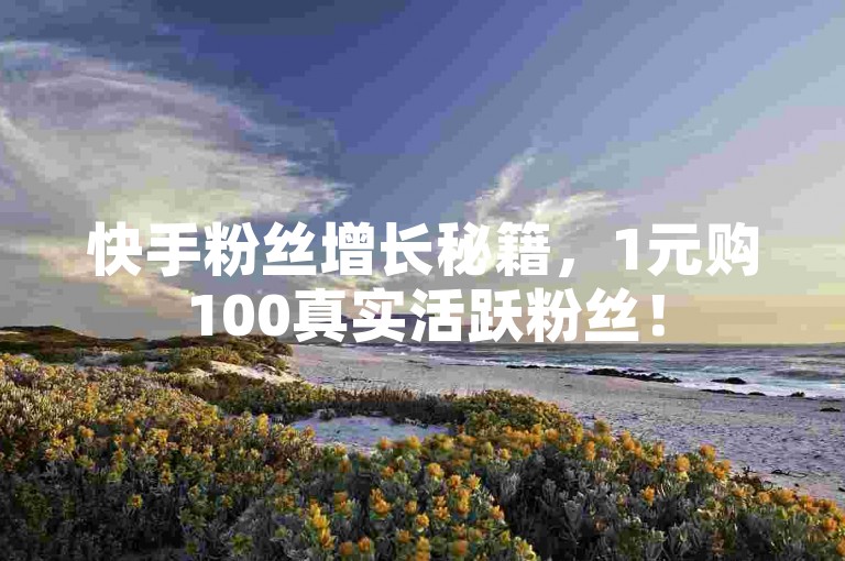 快手粉丝增长秘籍，1元购100真实活跃粉丝！
