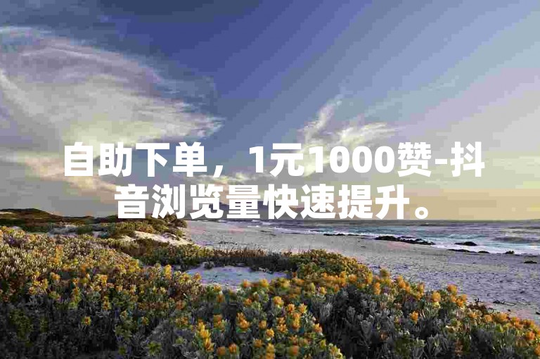 自助下单，1元1000赞-抖音浏览量快速提升。