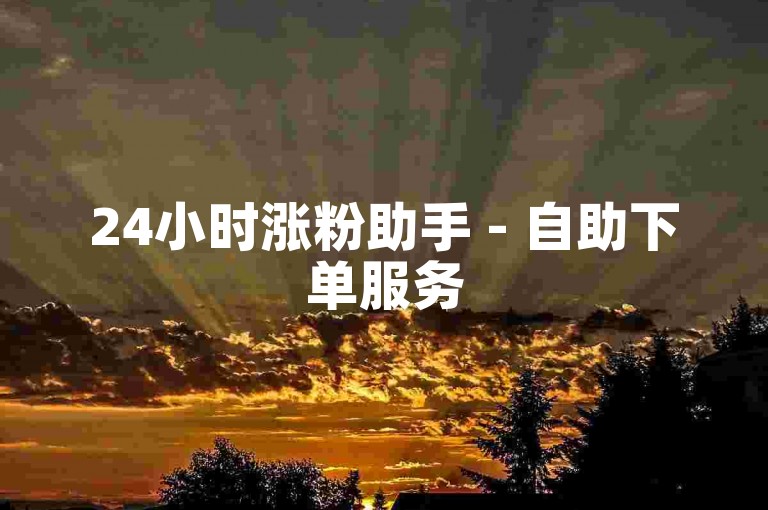 24小时涨粉助手 - 自助下单服务