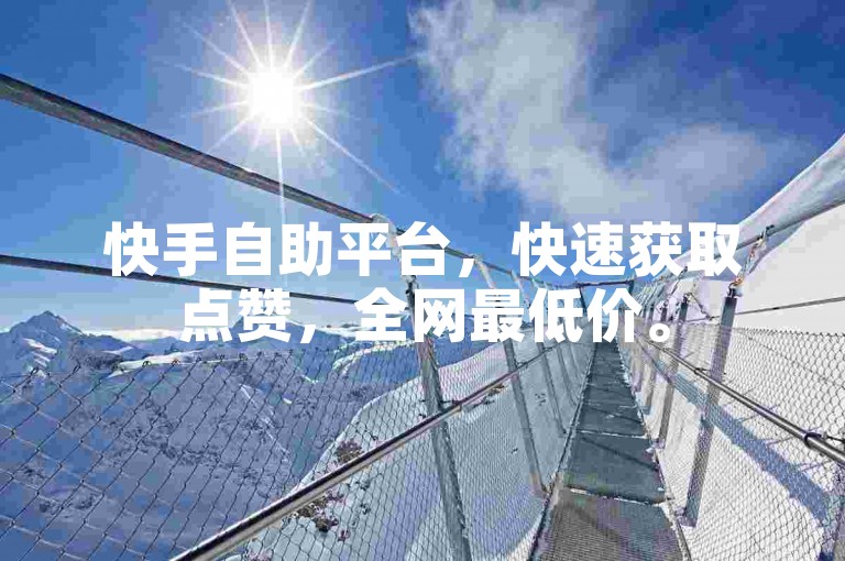 快手自助平台，快速获取点赞，全网最低价。