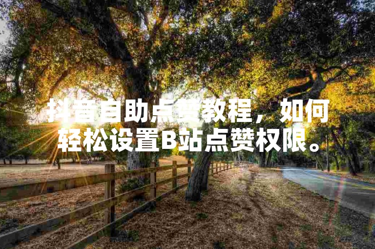 抖音自助点赞教程，如何轻松设置B站点赞权限。