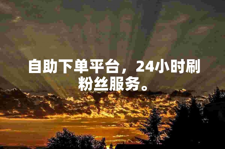自助下单平台，24小时刷粉丝服务。