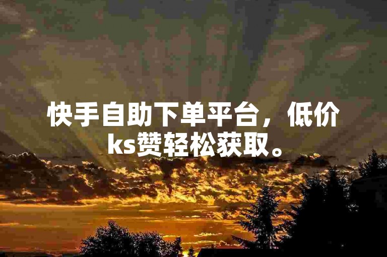 快手自助下单平台，低价ks赞轻松获取。