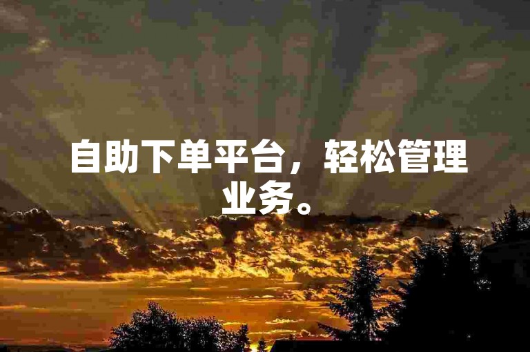 自助下单平台，轻松管理业务。