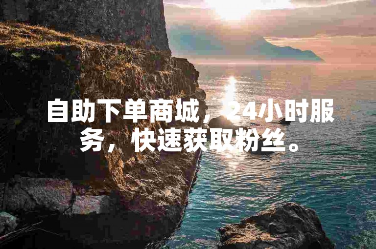 自助下单商城，24小时服务，快速获取粉丝。