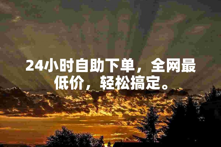 24小时自助下单，全网最低价，轻松搞定。