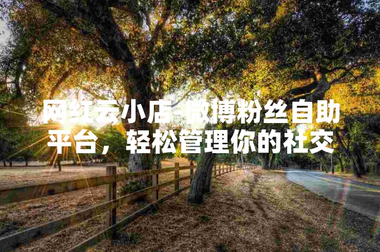 网红云小店-微博粉丝自助平台，轻松管理你的社交影响力。
