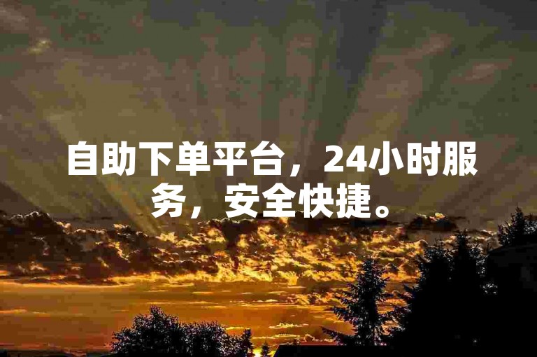 自助下单平台，24小时服务，安全快捷。