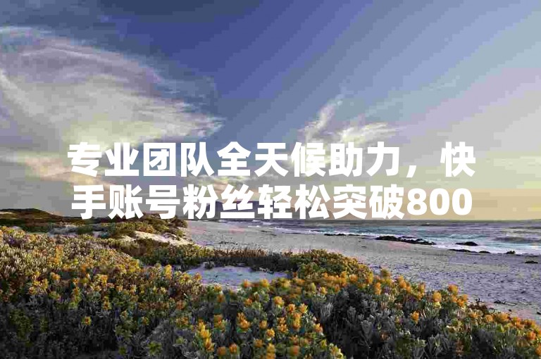专业团队全天候助力，快手账号粉丝轻松突破8000。