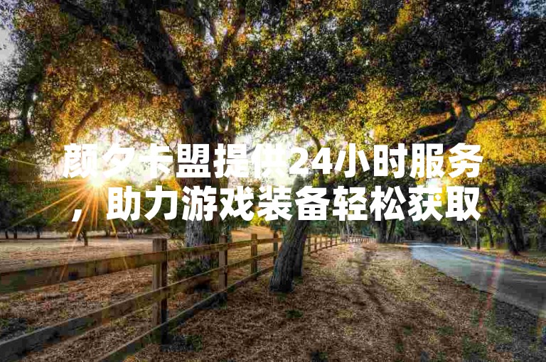 颜夕卡盟提供24小时服务，助力游戏装备轻松获取。