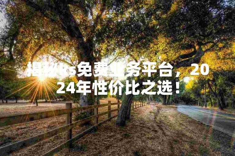 揭秘ks免费业务平台，2024年性价比之选！