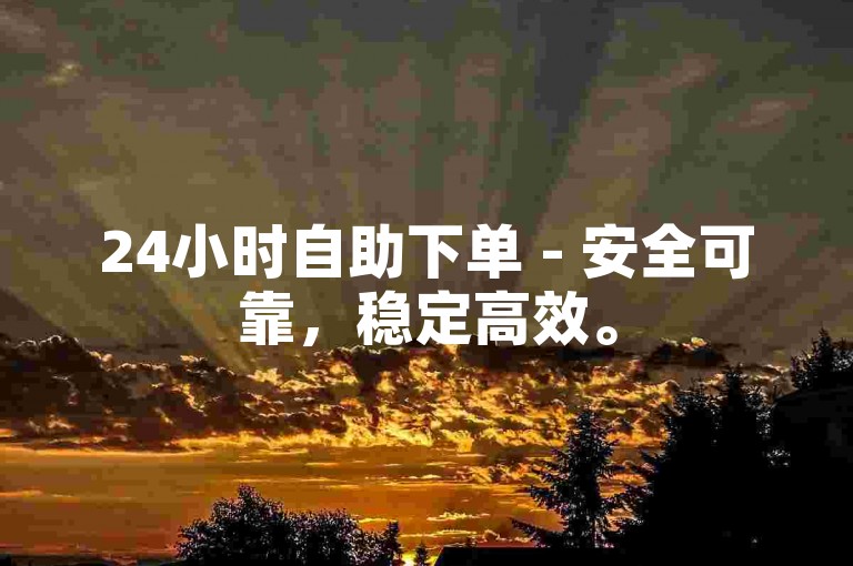 24小时自助下单 - 安全可靠，稳定高效。