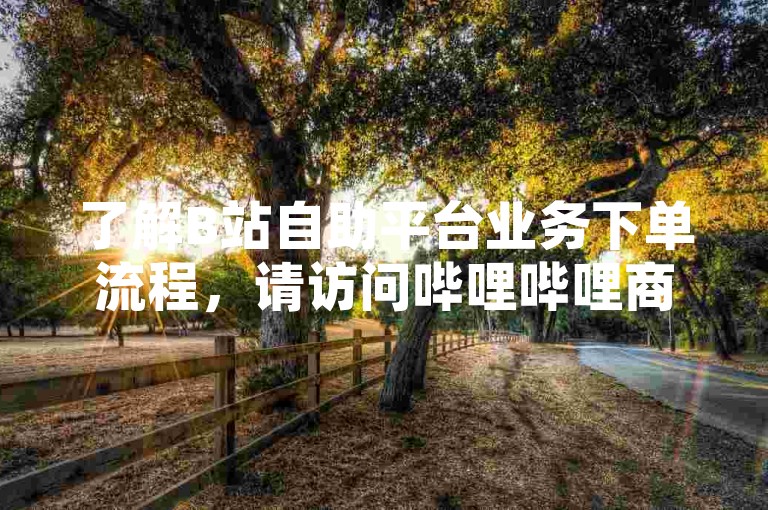 了解B站自助平台业务下单流程，请访问哔哩哔哩商家平台网站。