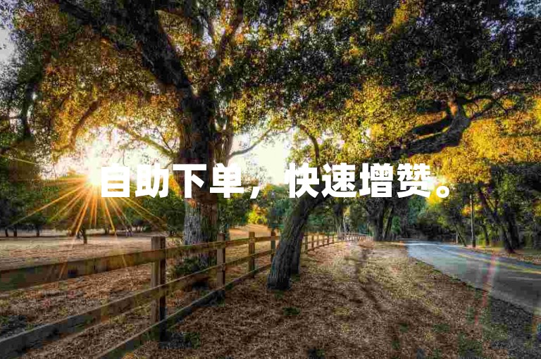 自助下单，快速增赞。