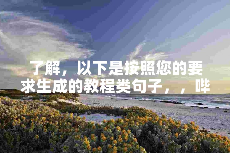 了解，以下是按照您的要求生成的教程类句子，，哔哩哔哩官网查询姓名代码入口