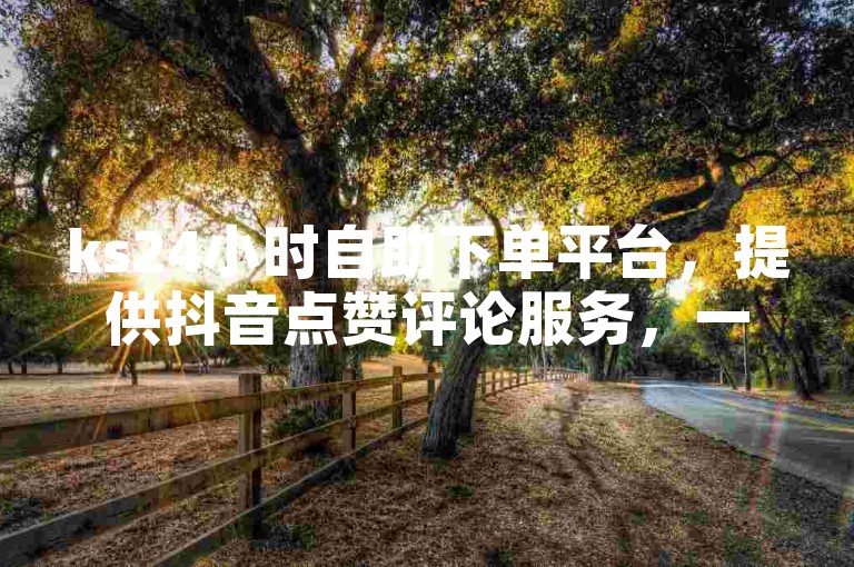 ks24小时自助下单平台，提供抖音点赞评论服务，一元起。