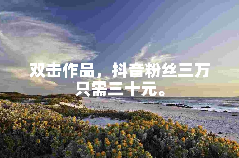 双击作品，抖音粉丝三万只需三十元。