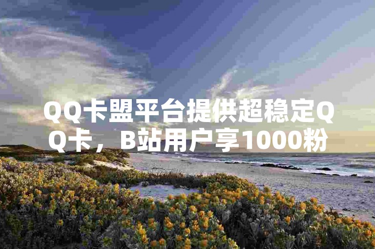 QQ卡盟平台提供超稳定QQ卡，B站用户享1000粉丝福利。