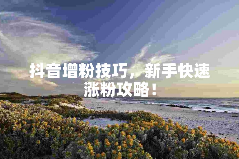 抖音增粉技巧，新手快速涨粉攻略！