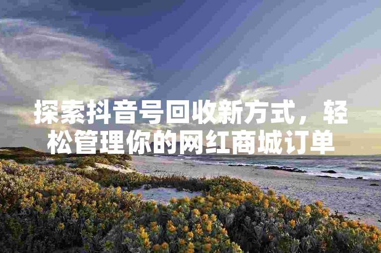 探索抖音号回收新方式，轻松管理你的网红商城订单。