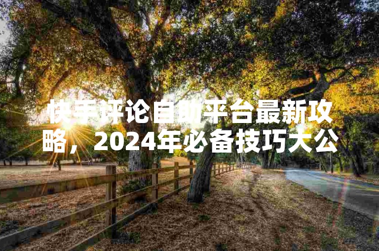 快手评论自助平台最新攻略，2024年必备技巧大公开！