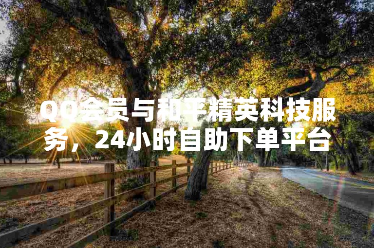 QQ会员与和平精英科技服务，24小时自助下单平台。