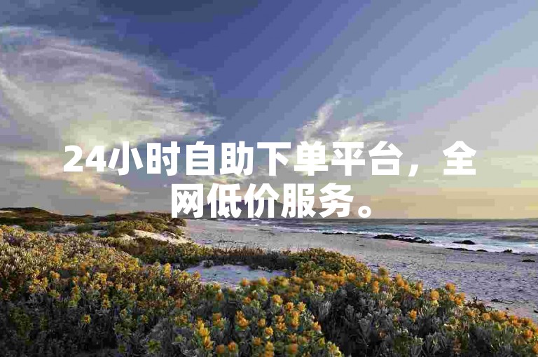 24小时自助下单平台，全网低价服务。