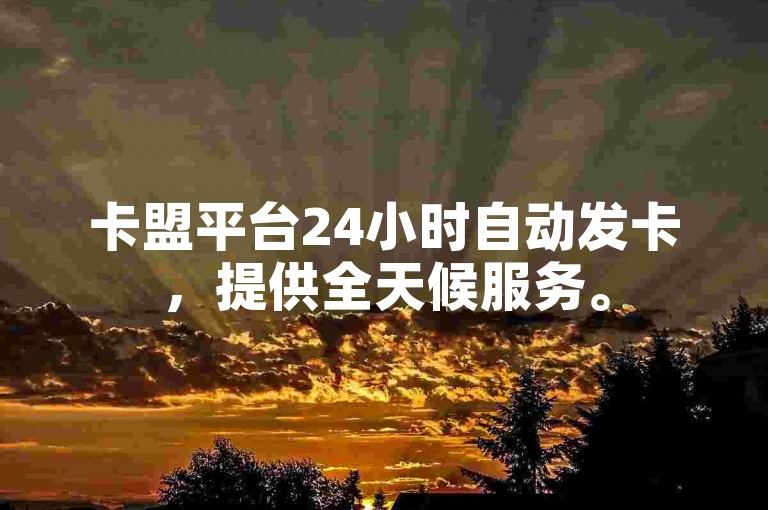 卡盟平台24小时自动发卡，提供全天候服务。