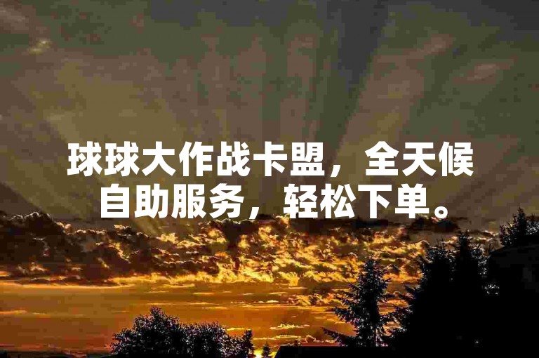 球球大作战卡盟，全天候自助服务，轻松下单。